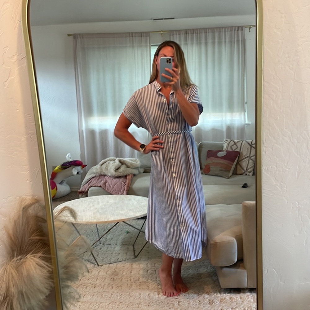 Adorable Zara stripe dress